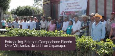 Entregan_plantas_Lichi_Uxpanapa_Veracruz_21_noviembre