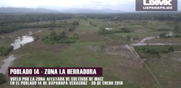 poblado 14 cultivos desbordamiento rio uxpanapa
