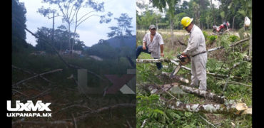 cfe uxpanapa realizando trabajos