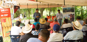 DKSilos programa en Uxpanapa