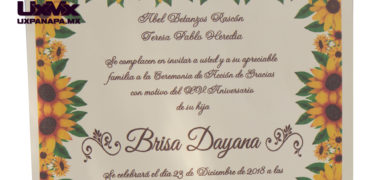 brisa-dayana