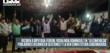 diputada-federal